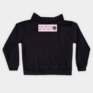 sad hamster driver Kids Hoodie